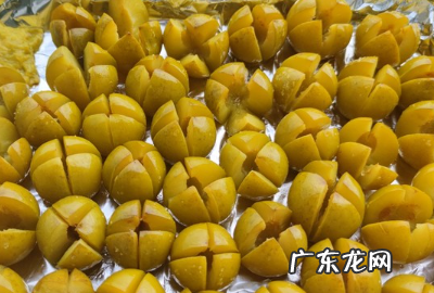 怎样做李子蜜饯,如何自制李子酒