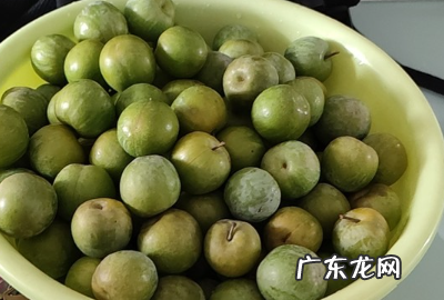 怎样做李子蜜饯,如何自制李子酒