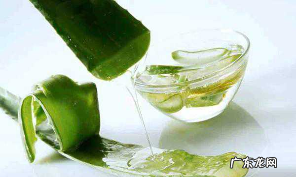 芦荟做菜怎么做好吃,芦荟做菜怎么吃法