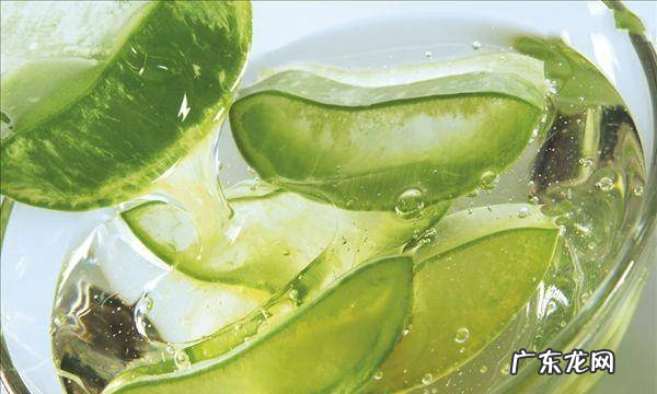 芦荟做菜怎么做好吃,芦荟做菜怎么吃法