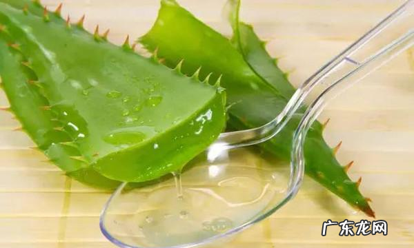 芦荟做菜怎么做好吃,芦荟做菜怎么吃法