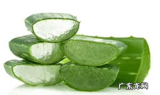 芦荟做菜怎么做好吃,芦荟做菜怎么吃法
