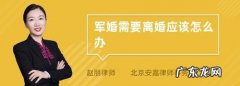 军婚离婚申请条件,军婚如何离婚的法律规定