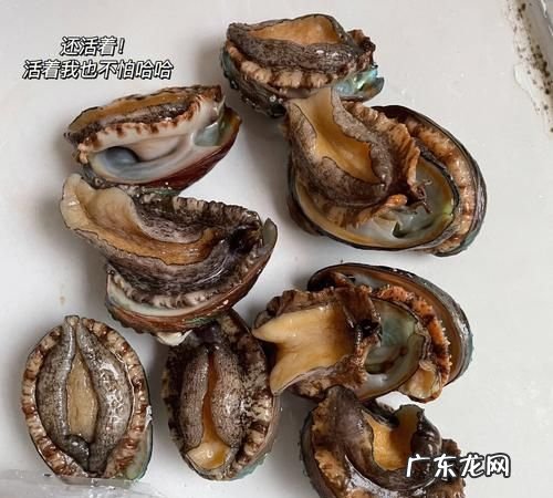 鲍鱼怎么清洗怎么做,鲍鱼怎么清洗制作