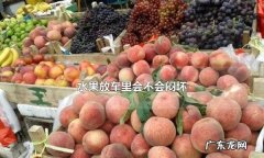 西瓜放车里会不会闷坏,水果放车里会不会冻