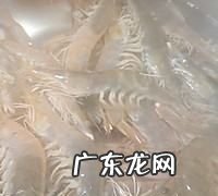 白灼虾怎么处理干净,白灼虾怎么去虾线