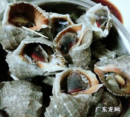 海螺放冰箱能保存多久,海螺冷冻能保存多久