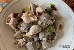 海螺放冰箱能保存多久,海螺冷冻能保存多久
