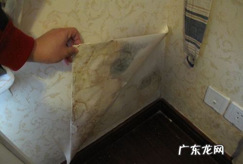 墙布会发霉发黑,墙布时间久了会不会发霉