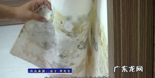 墙布会发霉发黑,墙布时间久了会不会发霉
