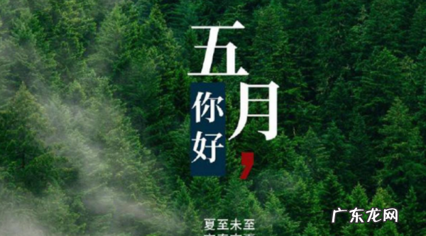关于五月优美句子,描写五月的优美句子
