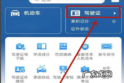 酒驾如何查询系统,因醉驾被吊销驾驶证怎么恢复