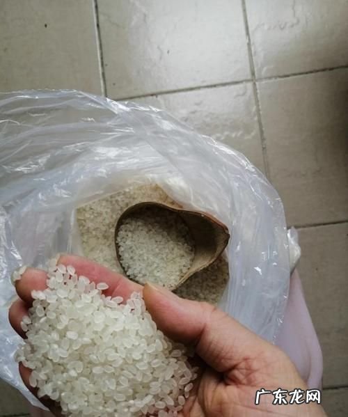 大米不开袋子会生虫,家里有袋大米没打开袋子怎么办