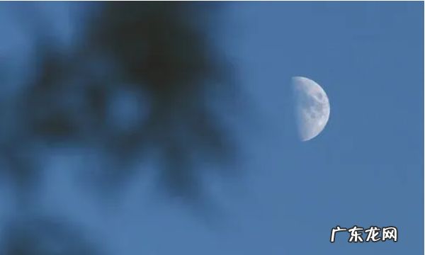 思卿是什么意思,念卿思君是什么意思