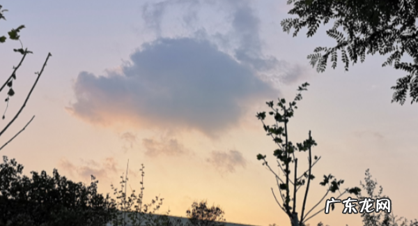 思卿是什么意思,念卿思君是什么意思