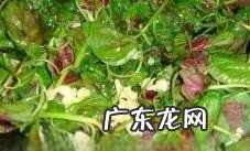 觅菜怎么吃怎么操作,苋菜怎么吃