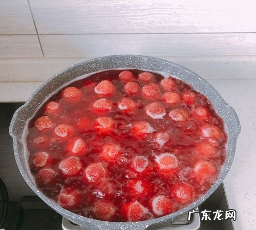 怎么榨杨梅汁,杨梅汁的制作方法