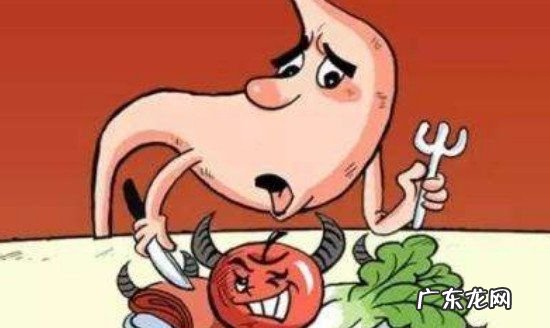 兰梅有什功效与作用,蓝莓的十大功效与作用