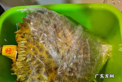 榴莲不够熟怎么处理,榴莲开了不熟怎么补救