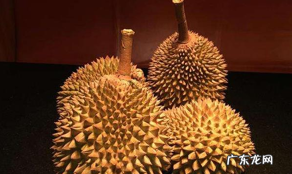 榴莲不够熟怎么处理,榴莲开了不熟怎么补救