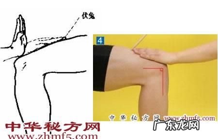 捶打伏兔作用,按摩心脏最好的部位 按摩什么地方对心脏好