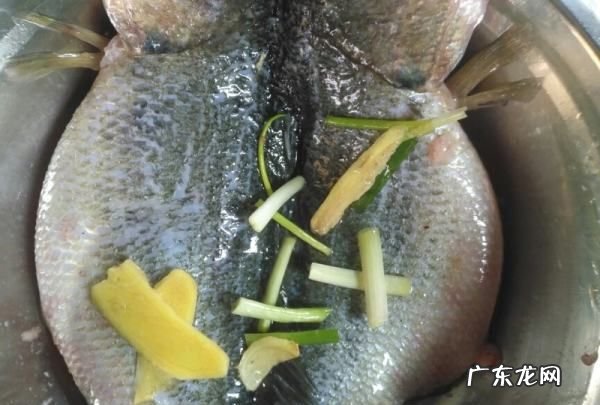炉鱼清蒸怎么做好吃,鲈鱼清蒸怎么做