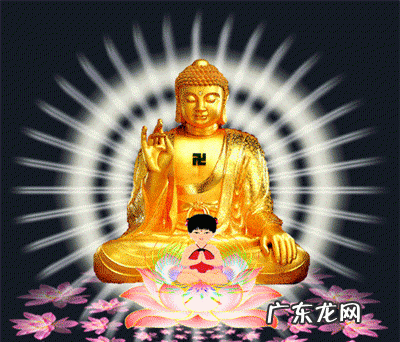 星月菩提玉化时间,星月菩提怎么看好坏