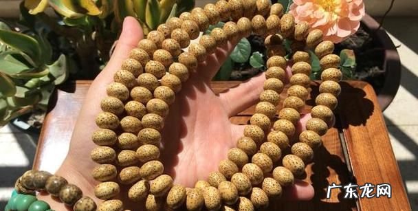 星月菩提玉化时间,星月菩提怎么看好坏