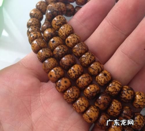 星月菩提玉化时间,星月菩提怎么看好坏