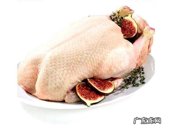 鸭子属于凉性还是热性,鸭肉是热性还是凉性 鸭肉属于什么性质的食物
