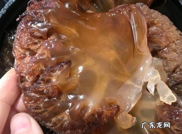 海哲怎么拌好吃,凉拌海蜇怎么做好吃