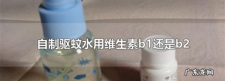 防蚊维生素b还是b2,防蚊吃维生素b2