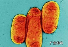 人肉可以吃,中国古代 吃人