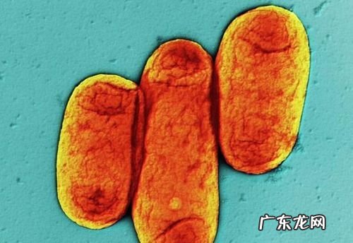 人肉可以吃,中国古代 吃人