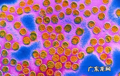人肉可以吃,中国古代 吃人