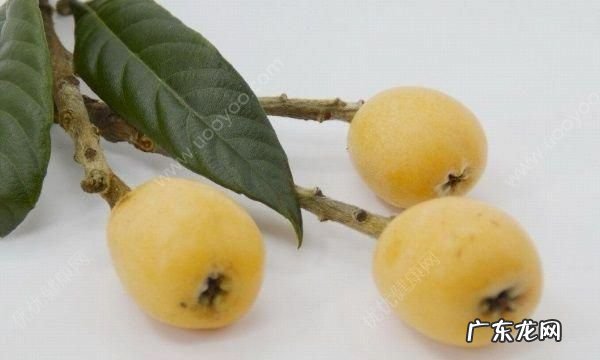 枇杷多了吃不完怎么办,枇杷吃不完怎么保存比较好