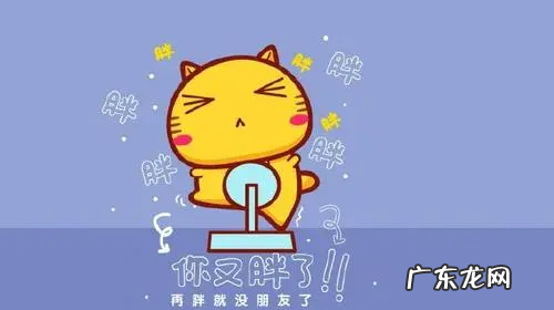 形容吃胖的经典语录,形容胖的幽默调侃句子九字句