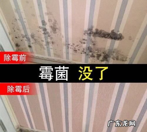 如何去除霉斑霉迹,衣服去霉斑妙招 2种方法