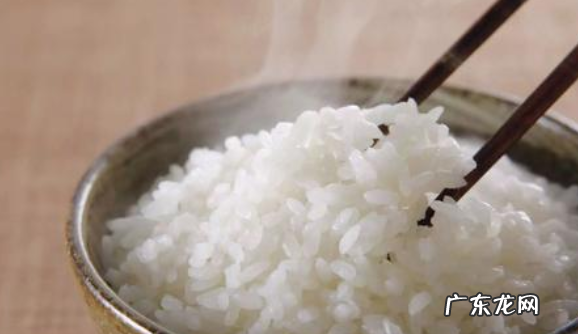 米饭的热量高还是馒头的热量高,馒头和米饭哪个热量高哪个容易发胖