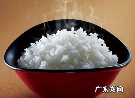 米饭的热量高还是馒头的热量高,馒头和米饭哪个热量高哪个容易发胖