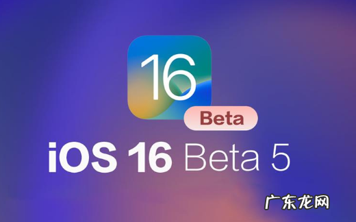 测试版和正式版区别,coloros4公测版和正式版区别