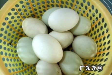 皮蛋配方及配比,皮蛋的制作方法及配方比例是什么