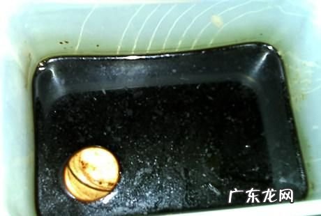 皮蛋配方及配比,皮蛋的制作方法及配方比例是什么