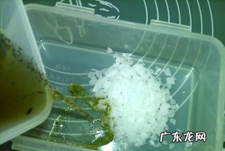 皮蛋配方及配比,皮蛋的制作方法及配方比例是什么