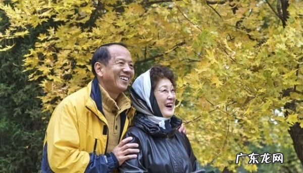 花甲之年指多少岁,花甲之年指的是多少岁数