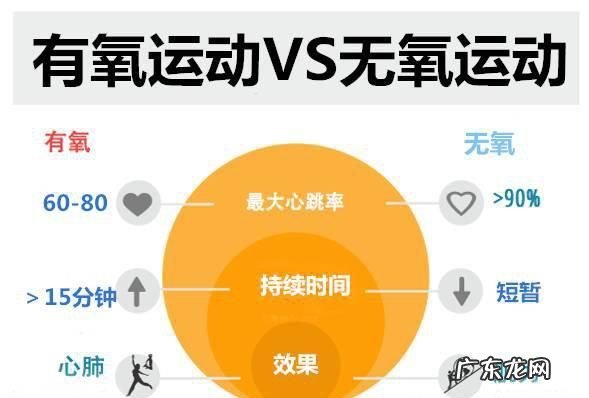 运动有哪四种类型,关节的运动形式有哪几种