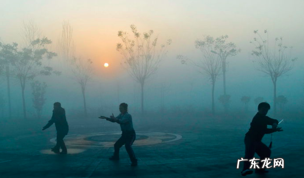 运动有哪四种类型,关节的运动形式有哪几种