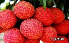 荔枝如何催熟,荔枝没熟可以放熟