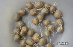 山药豆发芽能吃,山药豆出芽子了能吃