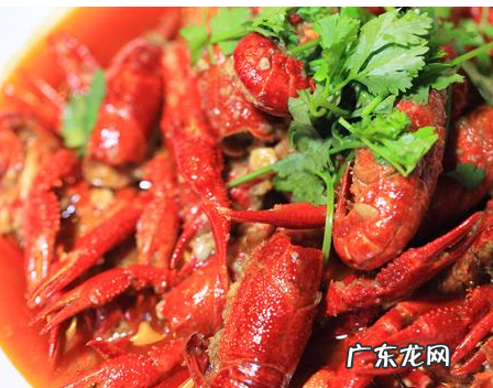 龙虾吃多了对身体危害,龙虾能不能吃多为什么